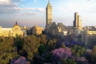 5 terrazas en la CDMX para admirar las jacarandas