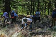 Protege el gobierno federal a 249 padres y madres buscadores Protege el gobierno federal a 249 padres y madres buscadores