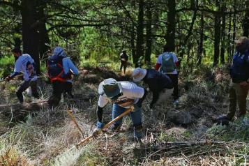 Protege el gobierno federal a 249 padres y madres buscadores