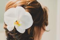 Accesorios para el cabello que elevarán tus looks de temporada Accesorios para el cabello que elevarán tus looks de temporada