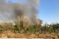 Buscan poner orden legal contra delincuentes ambientales Buscan poner orden legal contra delincuentes ambientales