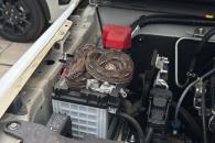 Hallan víbora bajo cofre de auto Hallan víbora bajo cofre de auto