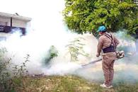 Intensificarán campaña contra el dengue Intensificarán campaña contra el dengue