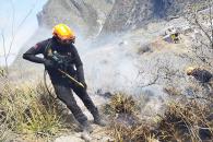 Alertan sobre altas condiciones propicias para incendios forestales Alertan sobre altas condiciones propicias para incendios forestales