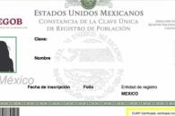 Propone Sheinbaum que CURP sea fuente única de identidad Propone Sheinbaum que CURP sea fuente única de identidad