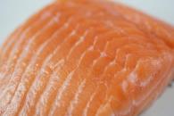 Este es el pescado que alberga más bacterias y parásitos Este es el pescado que alberga más bacterias y parásitos