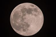 Luna Rosa 2025; ¿cuándo ver el fenómeno astronómico en México? Luna Rosa 2025; ¿cuándo ver el fenómeno astronómico en México?
