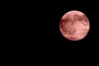 Luna Rosa 2025; ¿por qué se le llama así al fenómeno astronómico? Luna Rosa 2025; ¿por qué se le llama así al fenómeno astronómico?