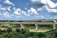 Piden ambientalistas plan para remediar daños del Tren Maya Piden ambientalistas plan para remediar daños del Tren Maya