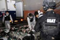 Incauta Corea cocaína que salió de México Incauta Corea cocaína que salió de México