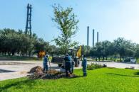 Buscan proteger flora del Parque Fundidora Buscan proteger flora del Parque Fundidora