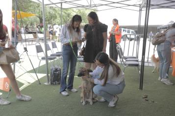 Promueven la tenencia responsable de mascotas