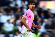 Descendió el Southampton en la Liga Premier de Inglaterra Descendió el Southampton en la Liga Premier de Inglaterra