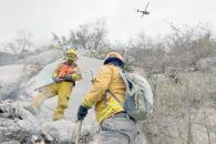 Consumen 42 hectáreas incendios forestales Consumen 42 hectáreas incendios forestales