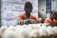 Evaluarán los derechos de trabajadores migrantes Evaluarán los derechos de trabajadores migrantes