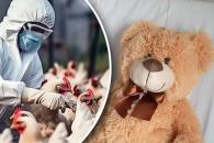 Fallece menor contagiada con influenza aviar Fallece menor contagiada con influenza aviar