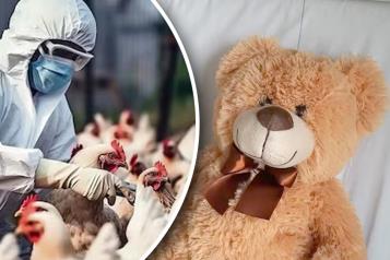 Fallece menor contagiada con influenza aviar