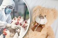 Fallece menor contagiada por influenza aviar Fallece menor contagiada por influenza aviar