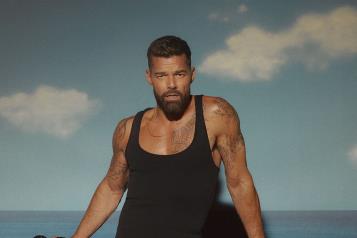 Ricky Martin y su sobrino ponen fin a su enfrentamiento legal