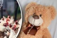 Fallece menor contagiada con influenza aviar Fallece menor contagiada con influenza aviar