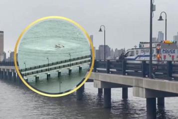 Desplome de helicóptero en Nueva York deja 6 muertos