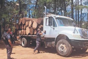 Impulsa PVEM reforma federal con hasta 25 años de cárcel