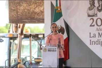 Anuncia Sheinbaum frijol del Bienestar; duplicará producción