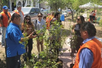 Realizan jornada verde