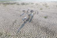 Luce bastante desolador el problema de sequía en el estado Luce bastante desolador el problema de sequía en el estado