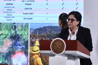 Protección Civil reporta 114 incendios activos en el país Protección Civil reporta 114 incendios activos en el país
