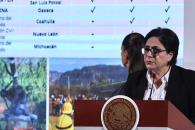Protección Civil reporta 114 incendios activos en el país Protección Civil reporta 114 incendios activos en el país