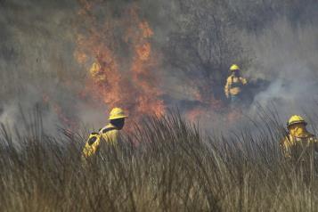 En 2 semanas, aumentaron 50% incendios forestales activos en México