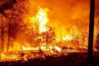 Reporta Protección Civil 114 incendios activos en el país Reporta Protección Civil 114 incendios activos en el país
