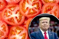 Impone EU aranceles al tomate mexicano Impone EU aranceles al tomate mexicano