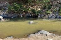 Piden a vacacionistas no nadar en canales y presas Piden a vacacionistas no nadar en canales y presas