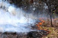 Arrasan incendios 395% más terreno en sólo 13 días Arrasan incendios 395% más terreno en sólo 13 días