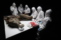 Someten a cría de mamut de 130 mil años a una necropsia Someten a cría de mamut de 130 mil años a una necropsia