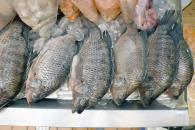 Supervisa SS más de 300 negocios de pescados y mariscos Supervisa SS más de 300 negocios de pescados y mariscos