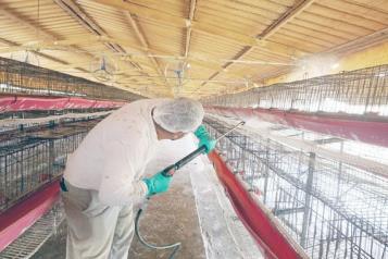 Registra Nuevo León brote de Gripe Aviar en granja de Marín