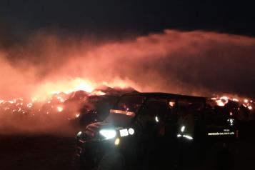 Arden 12 mil rollos de zacate