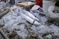 Semana Santa: ¿Cuánto cuesta un kilo de pescado?, esto dice Profeco Semana Santa: ¿Cuánto cuesta un kilo de pescado?, esto dice Profeco