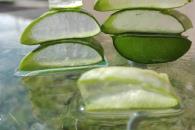 Cómo usar el aloe vera para aliviar las quemaduras del sol Cómo usar el aloe vera para aliviar las quemaduras del sol