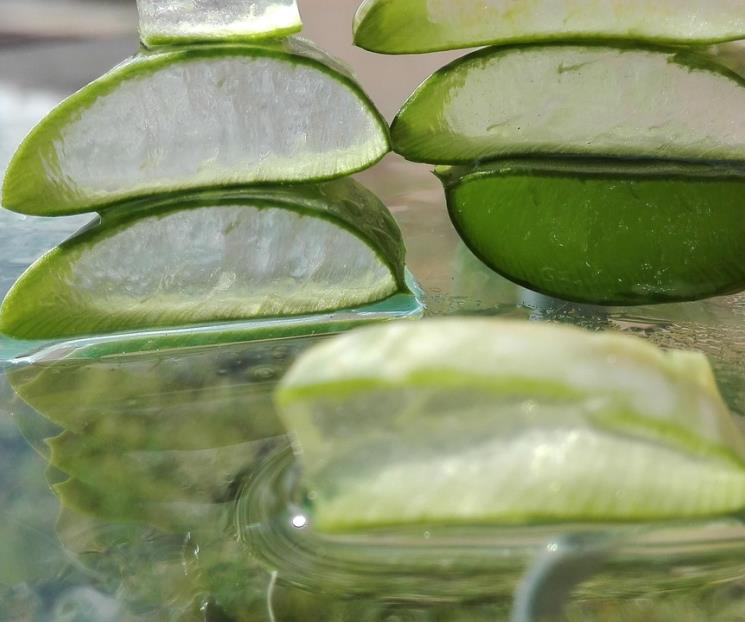 Cómo usar el aloe vera para aliviar las quemaduras del sol