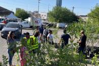 Dan en adopción 400 árboles Dan en adopción 400 árboles