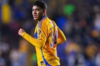 Cumplen Tigres con la regla de menores