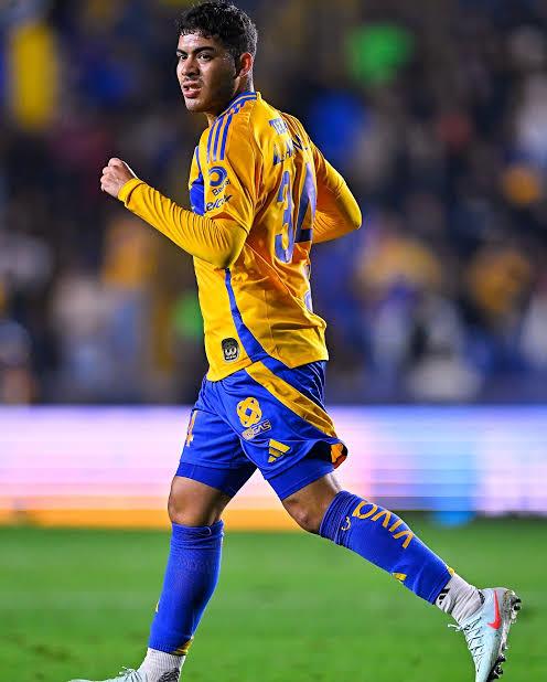 Cumplen Tigres con la regla de menores Cumplen Tigres con la regla de menores