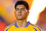 Fueron felinos el mejor local Fueron felinos el mejor local