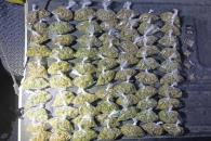 Detienen a joven con enervantes Detienen a joven con enervantes