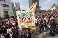 Piden Colectivos legalizar la cannabis; defienden su consumo Piden Colectivos legalizar la cannabis; defienden su consumo