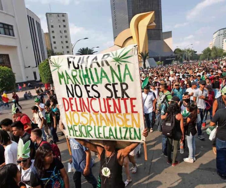 Piden Colectivos legalizar la cannabis; defienden su consumo